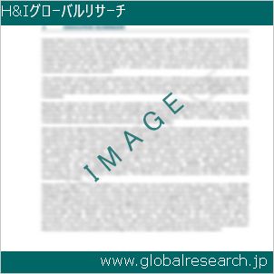 グローバルリサーチ調査レポートのイメージ
